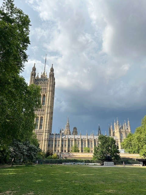 A colour image of the view of the Palace of Westminster in London, showing the Victoria Tower on the left and the ornate Gothic architecture of the Houses of Parliament. The building is framed by green trees on both sides, with a grassy park area in the foreground and a dramatic sky with dark clouds above.